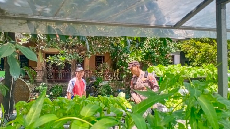 Polsek Balongbendo Masifkan Bhabinkamtibmas Dampingi Warga dalam Pengelolaan Pekarangan Pangan Bergizi